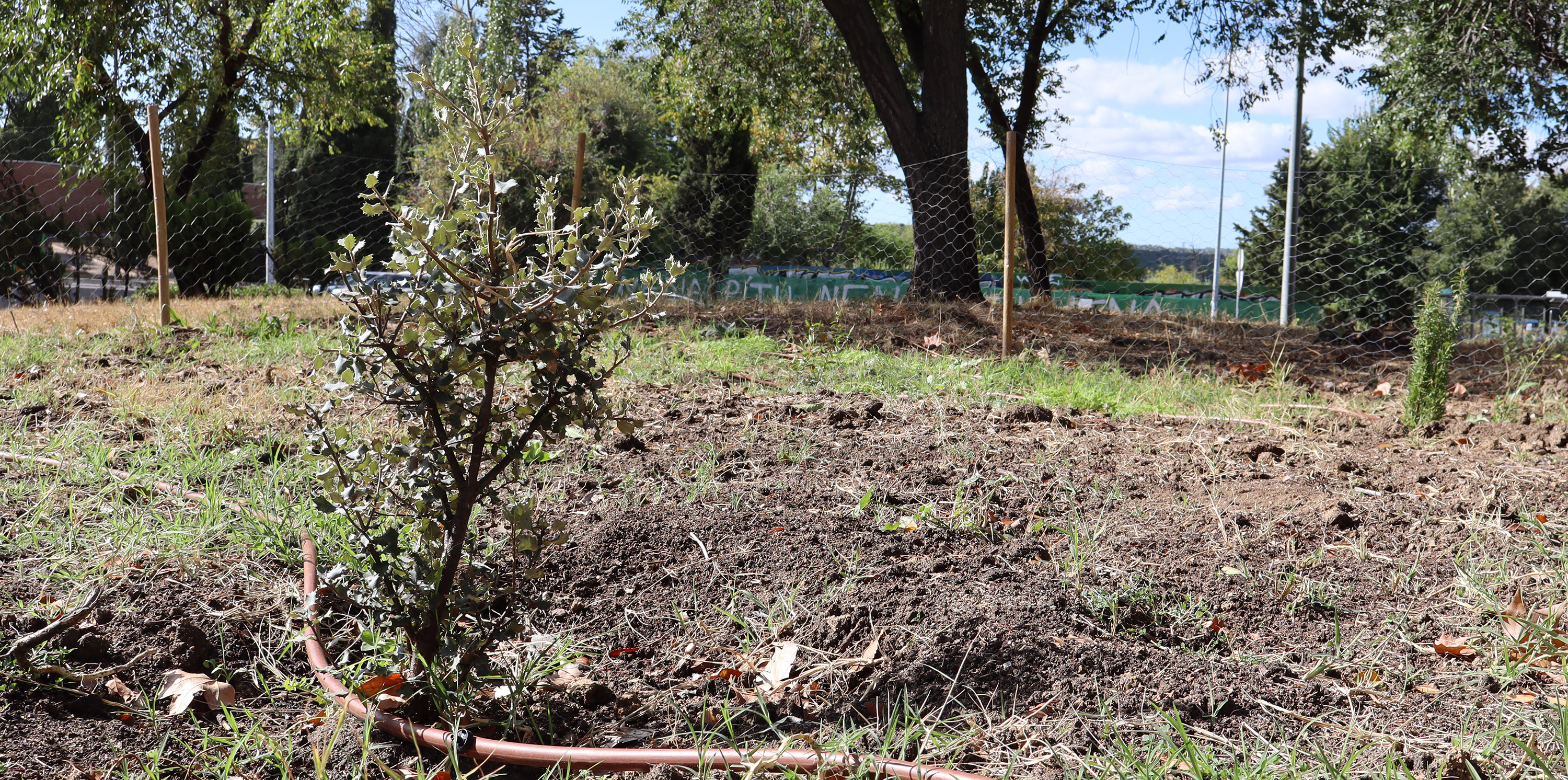 En marcha el proyecto de creación de Corredores Verdes Urbanos en la UCM